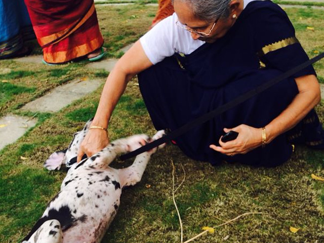 Naming Ceremony Of Male Great Dane As Bhairava  On 3rd August 2014 At
Smiles Amphi Theatre.