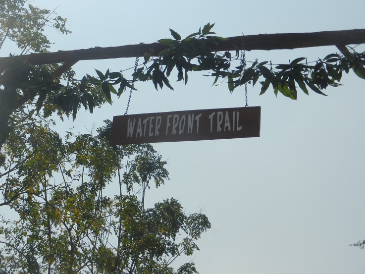  WATER FRONT TRAIL at Smile